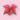 Cheer Bows